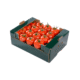 Tomato Box